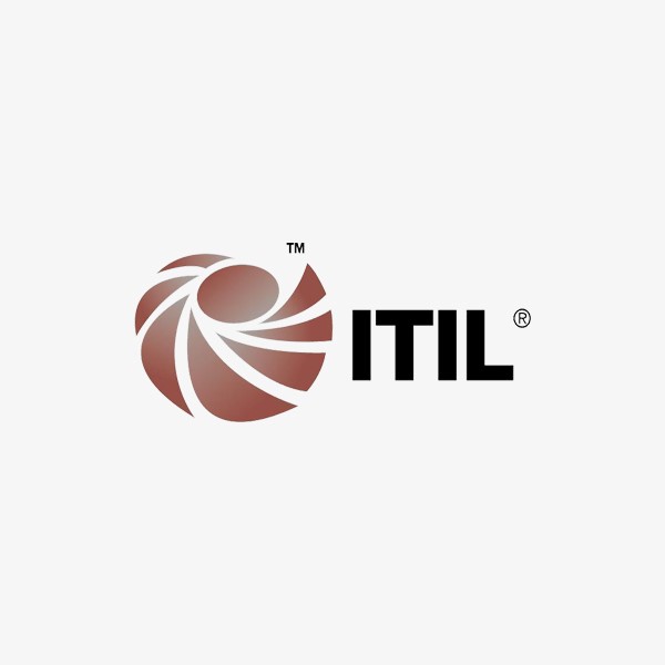 ITIL Practitioner Training in IT Service Management (inc ...